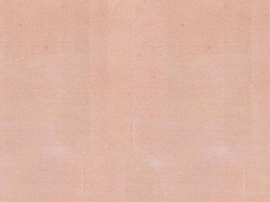 Pink Sandstone honed finish from Dholpur